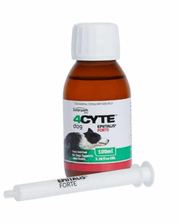 4CYTE Epiitalis Forte for Dogs 100ml